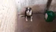 Pacoca e pipoca
