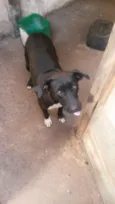 Pacoca e pipoca