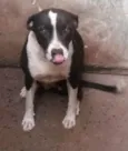 Pacoca e pipoca