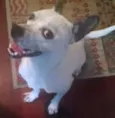 Marvin