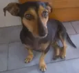 menina
