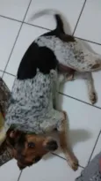 Snoopy José