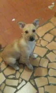 lucas