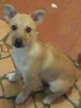 lucas