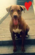 Benny
