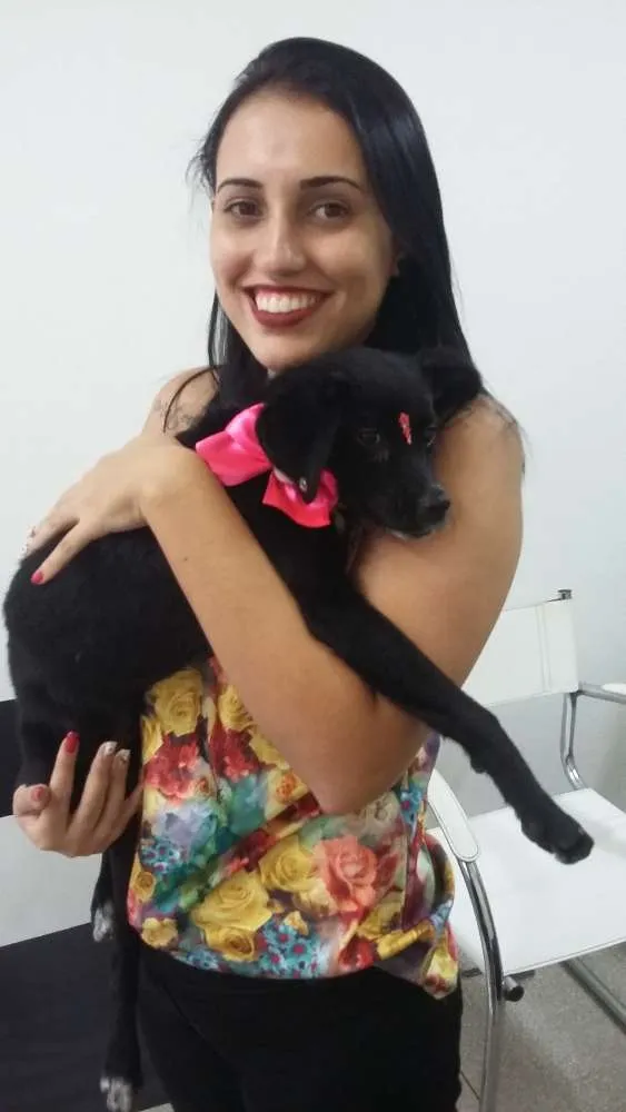 Cachorro ra a SRD idade 2 a 6 meses nome Pretinha