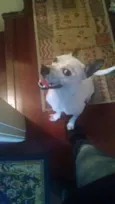Marvin