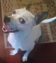 Marvin