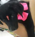 Pretinha