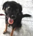Nina