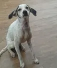 Menina
