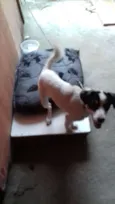 Princesa 
