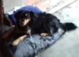Princesa 