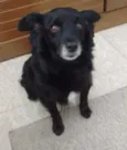 Luigi