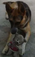 Thor