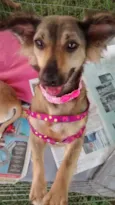 Lola