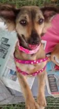 Lola