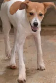 RUBI, Um tesouro!