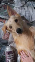 Greta