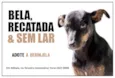 Berinjela