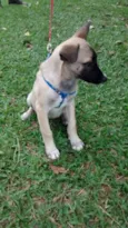 Sem 