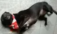 Neguinha