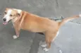 Princesa