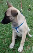 Sem 
