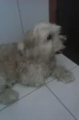 Billy