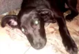 Maggie