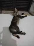 sem nome