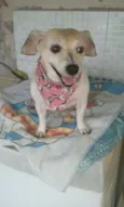 pituxa