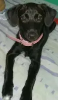 maluzinha