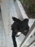 toto