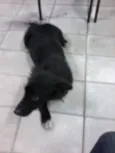 toto