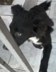 toto