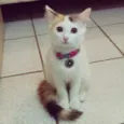 Valentina