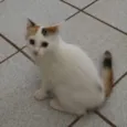 Valentina