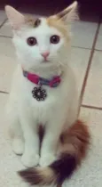 Valentina