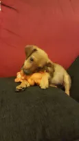 LUKA 