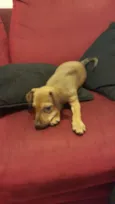 LUKA 