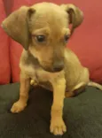 Luka 