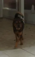Thor e Thora
