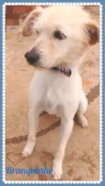 Branquinho