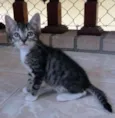 Julie