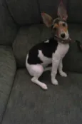 Minnie