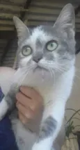 Esmeralda 