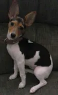 Minnie