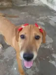 * LUNA * 
