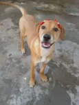 * LUNA * 